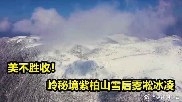 网上购物地址怎么写？游戏画面